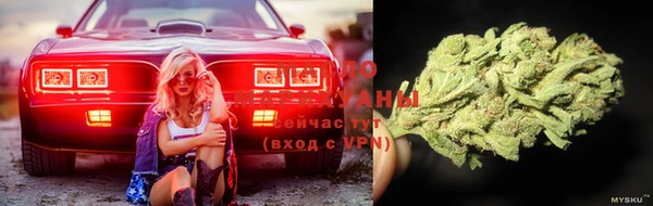 метадон Алексин