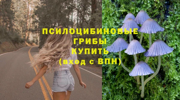 Альфа ПВП Алзамай