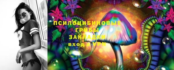 крисы Алексеевка