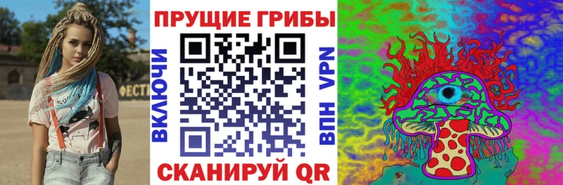 Галлюциногенные грибы Psilocybine cubensis  blacksprut зеркало  Полярные Зори  цены  